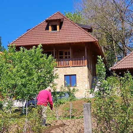 Rankovi Konaci