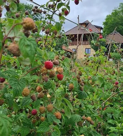 Rankovi Konaci Zlatibor