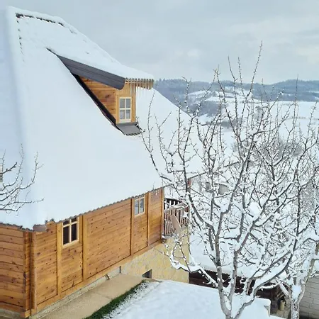 Holiday home Rankovi Konaci Zlatibor